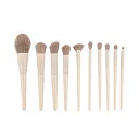 Brush Set Only