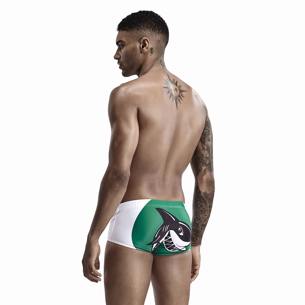 Boxer Print Swimming Trunks