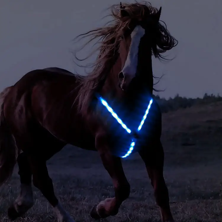 LED Cinch Cool Horse Harness Equipment Luminous