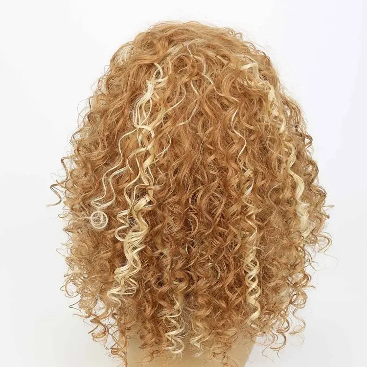 Women's Mixed Color Long African Long Curly Wig