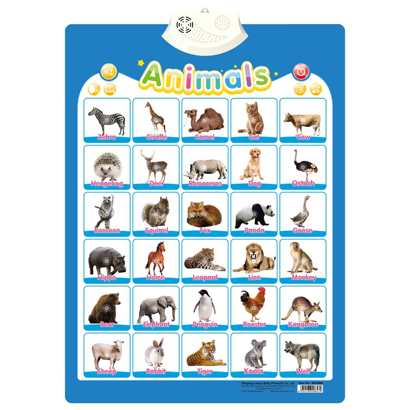 Animal English