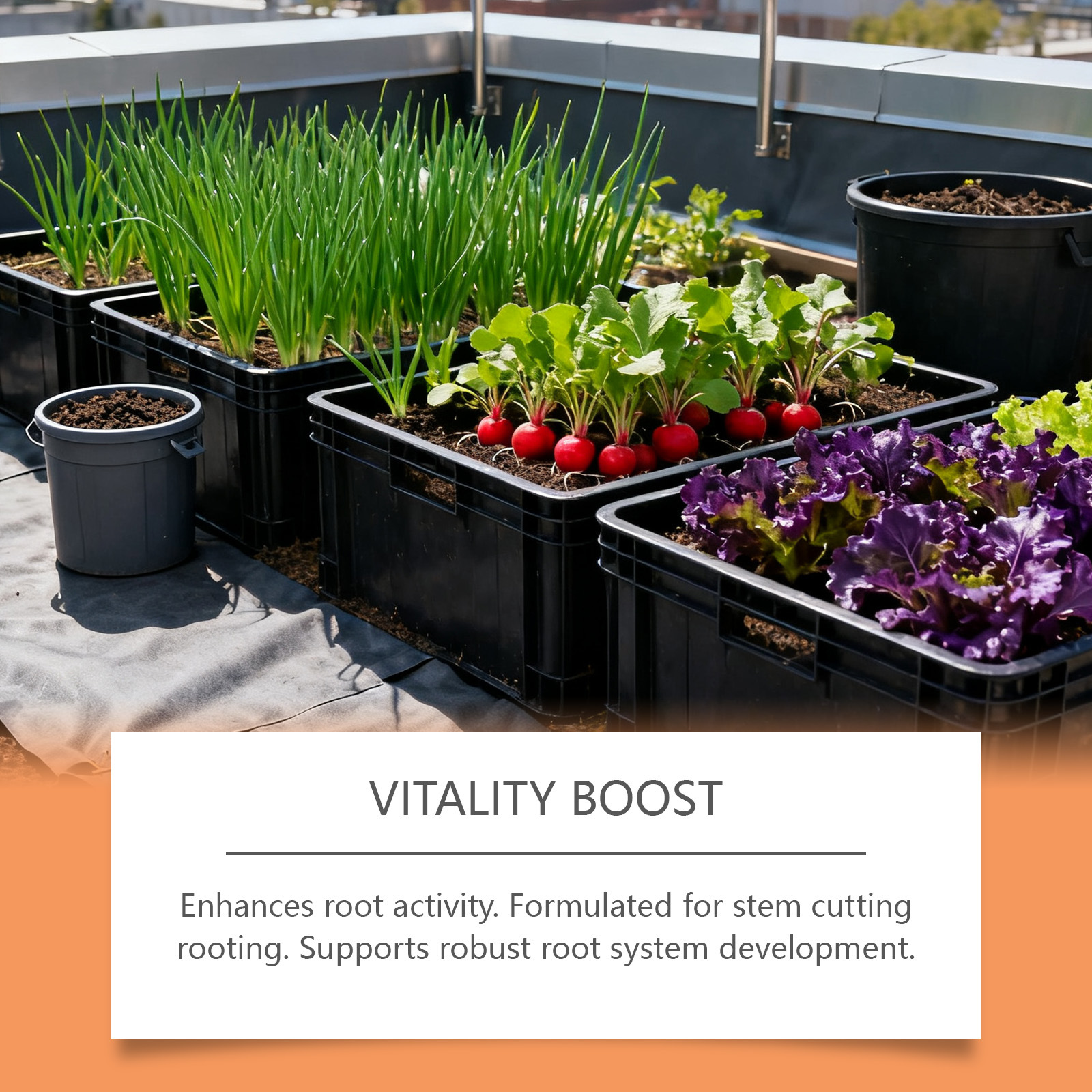 Plant Rooting Agent - Image 2