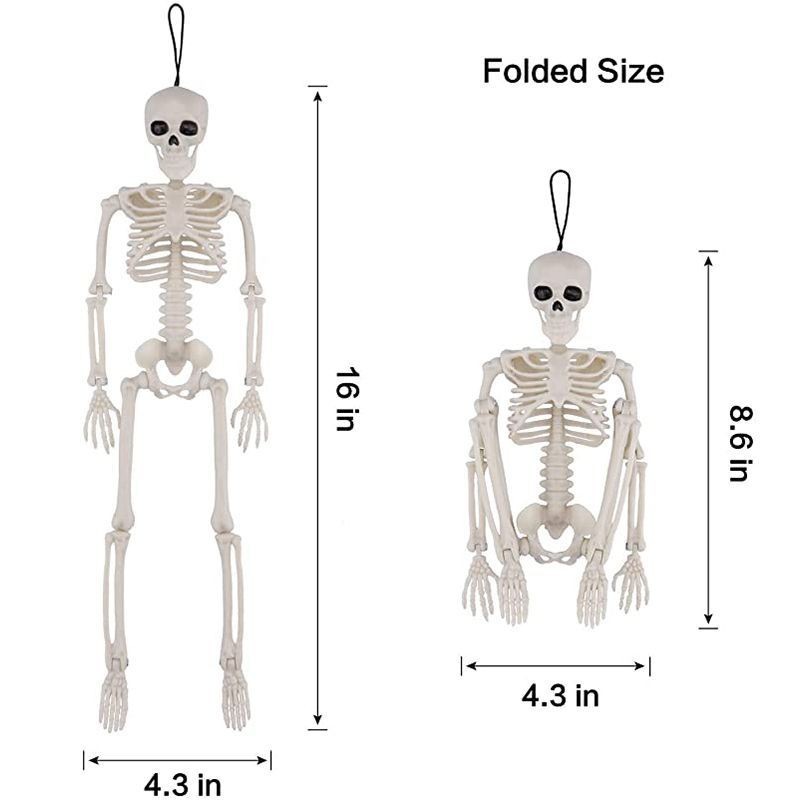 40CM Human Skeleton Nude