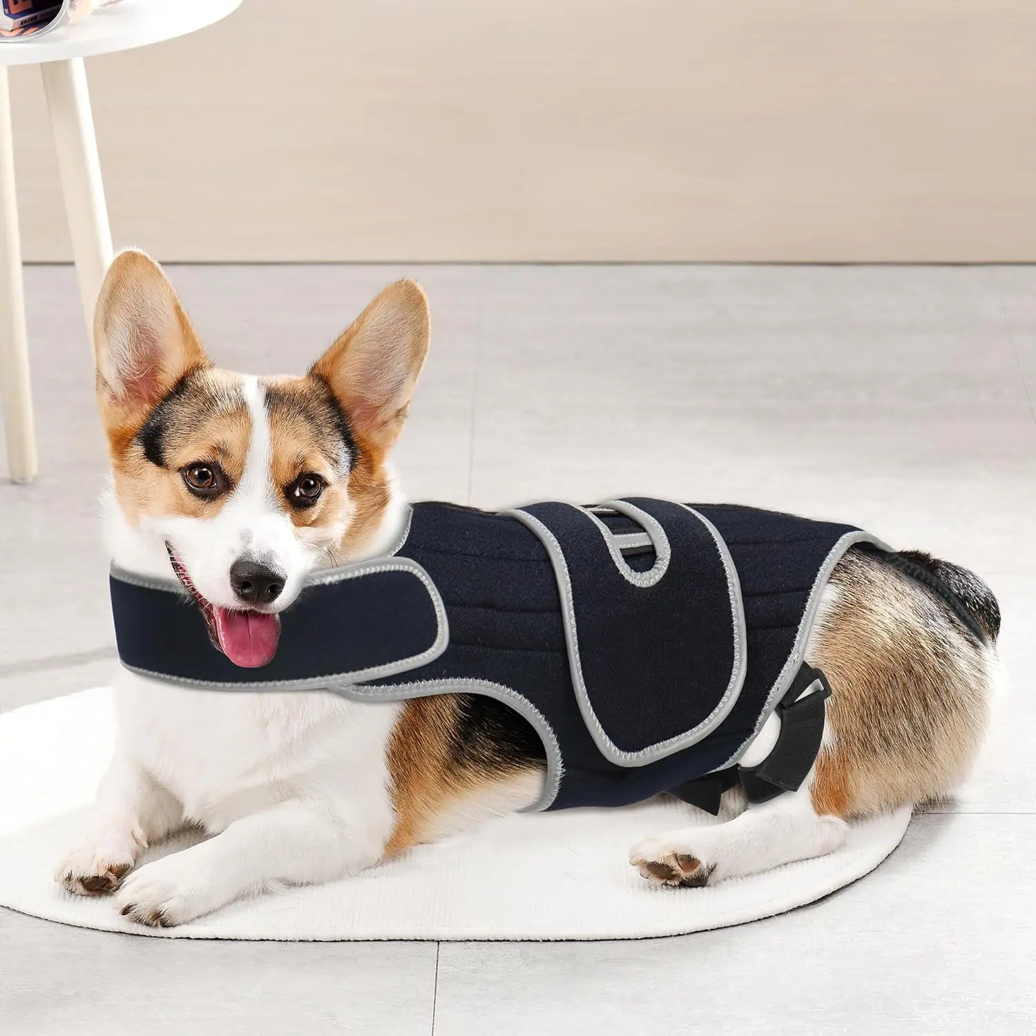 Dog Back Support Sling