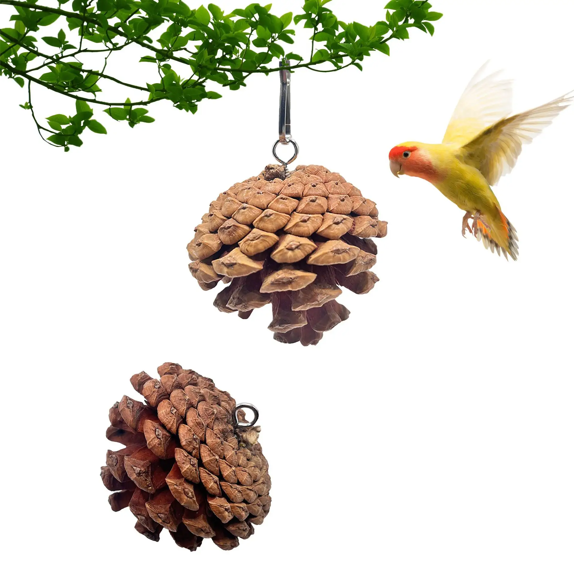 Parrot Bite Toy Can Hang