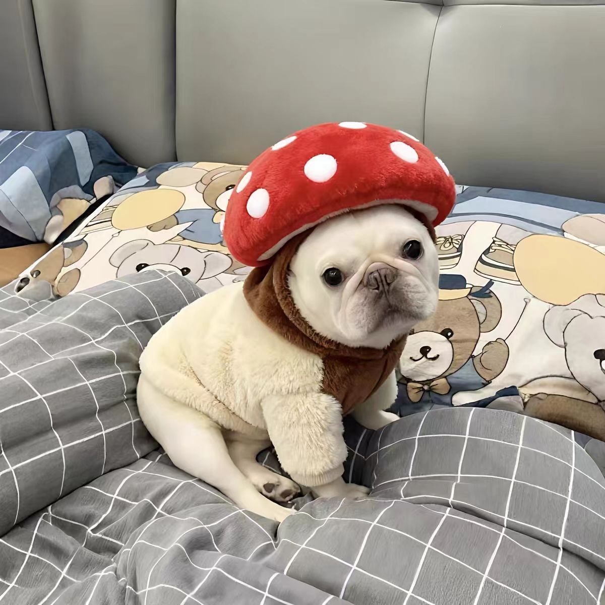 Creative Plush Pet Dog With Mushroom Hat detail photo 7