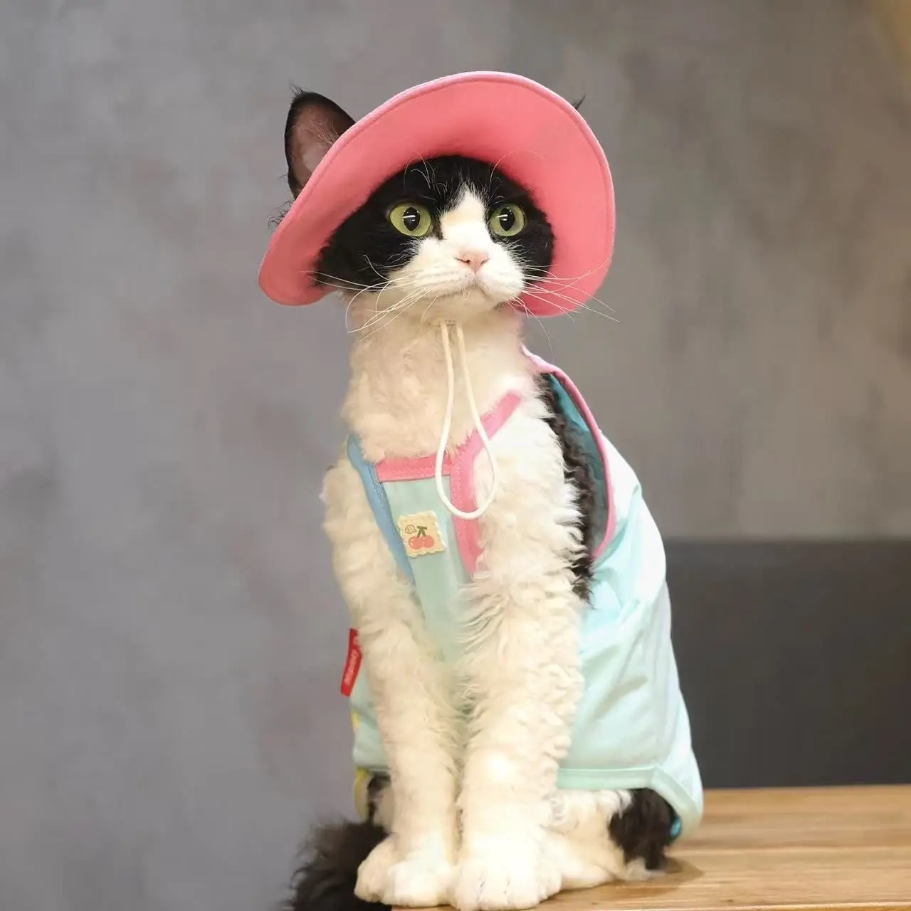 Sphynx Cat Summer Clothing Set Sleeveless Shirt