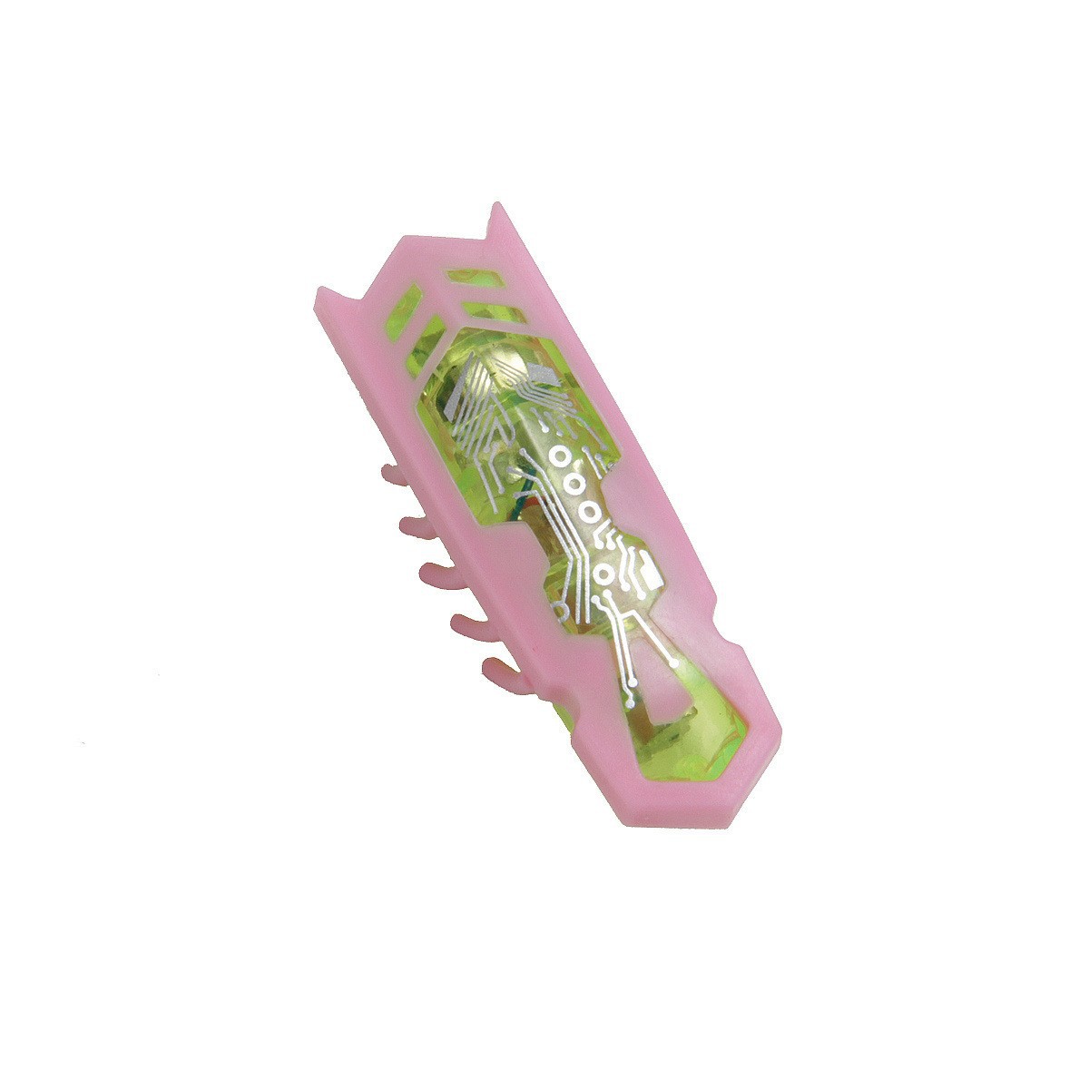 Toothbrush Insect Pink Green