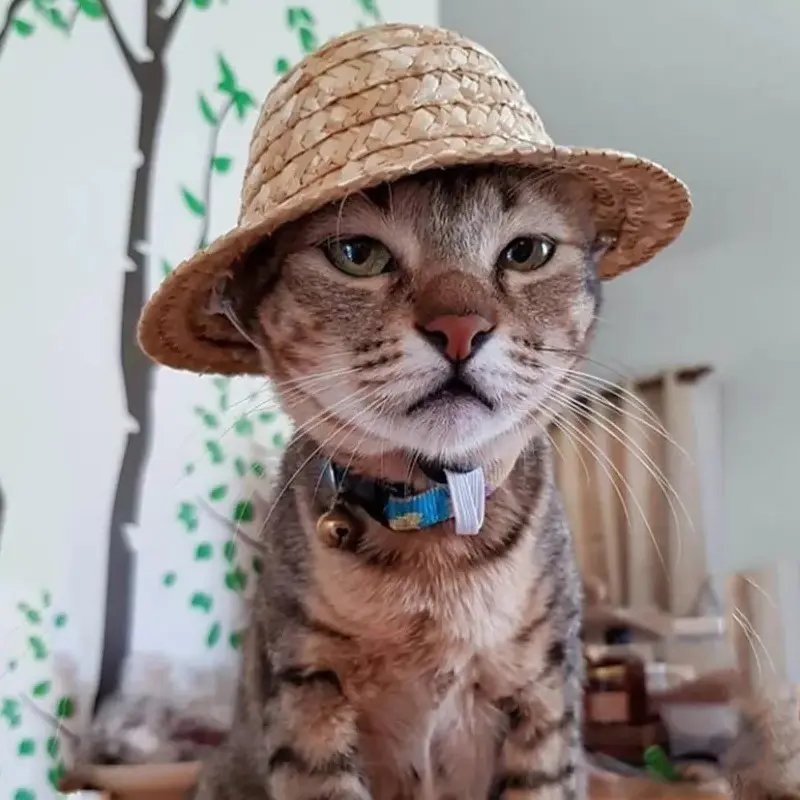 Spot Factory Vintage Farmer Hat Ornament Cat