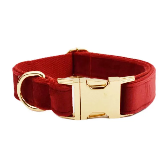 Dog Collar Pet Collar Traction Dog Collar - Shop at LoveMi