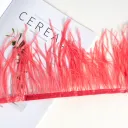 10 Deep Watermelon Red