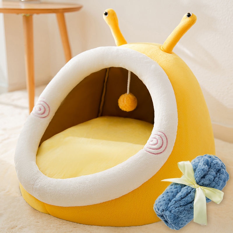 Yellow Snail With Blanket