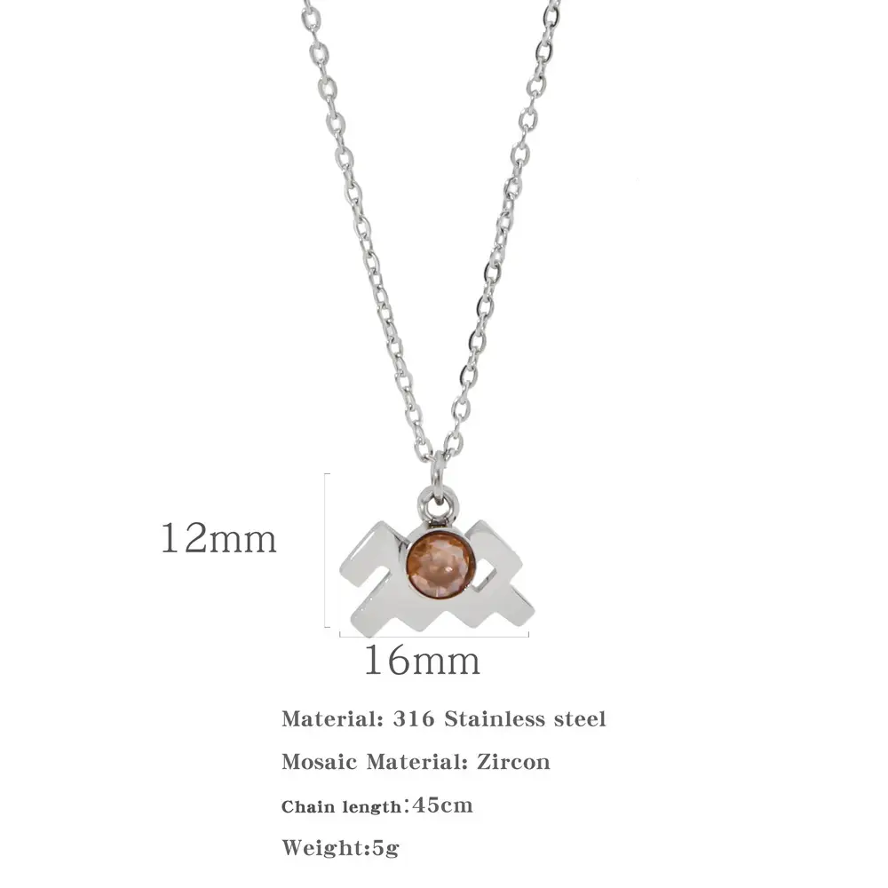Necklace Stainless Steel Zircon Ornament