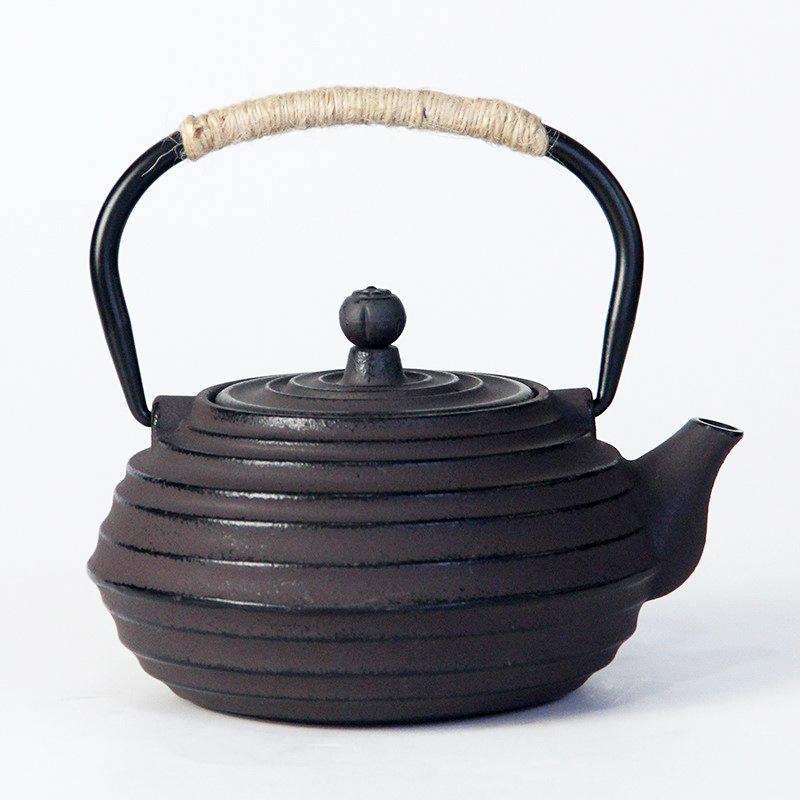 Chinese Teapot Iron Craft Decorations Cast Iron Kettle