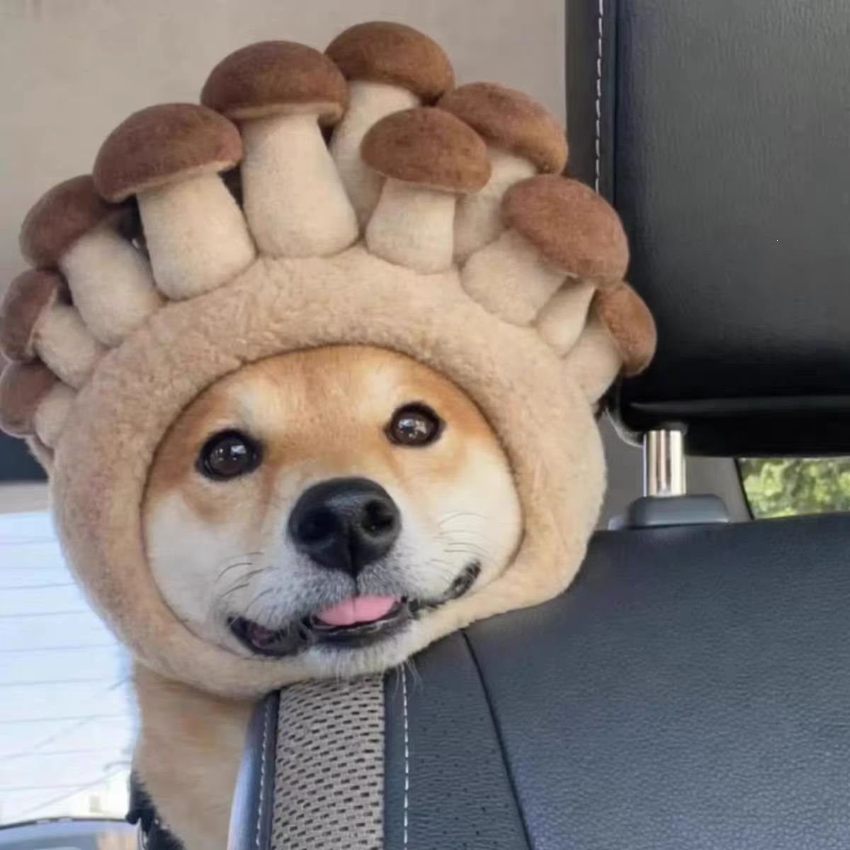 Creative Plush Pet Dog With Mushroom Hat detail photo 5