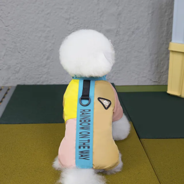 Pet Dog Winter Warm Thickened Four leg Cotton padded Clothes Blue Collar - Shop at LoveMi