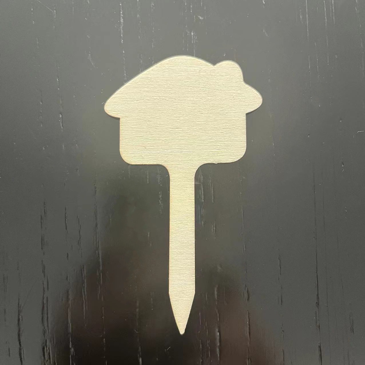 Wooden Succulent Plant Label Creative Gardening Stakes Lt015 14 - Shop at LoveMi