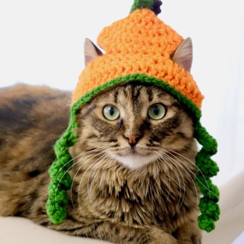 Pumpkin Hat