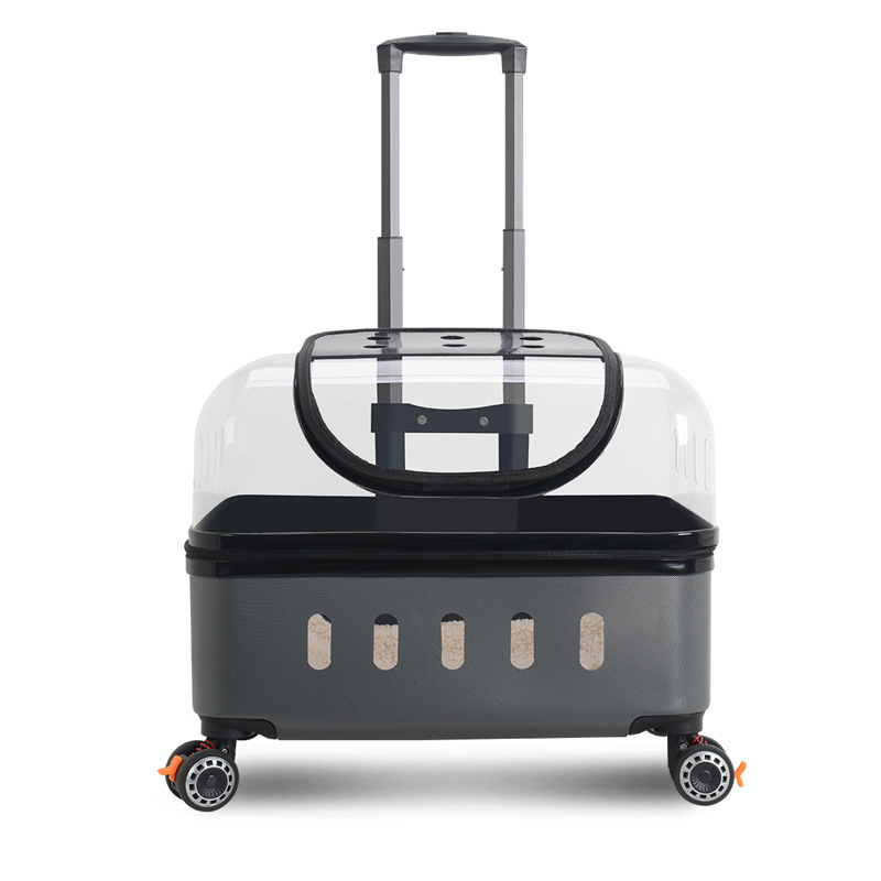https://cf.cjdropshipping.com/quick/product/4e25e13c-7ea0-4e3a-9e19-8735a22441af.jpg