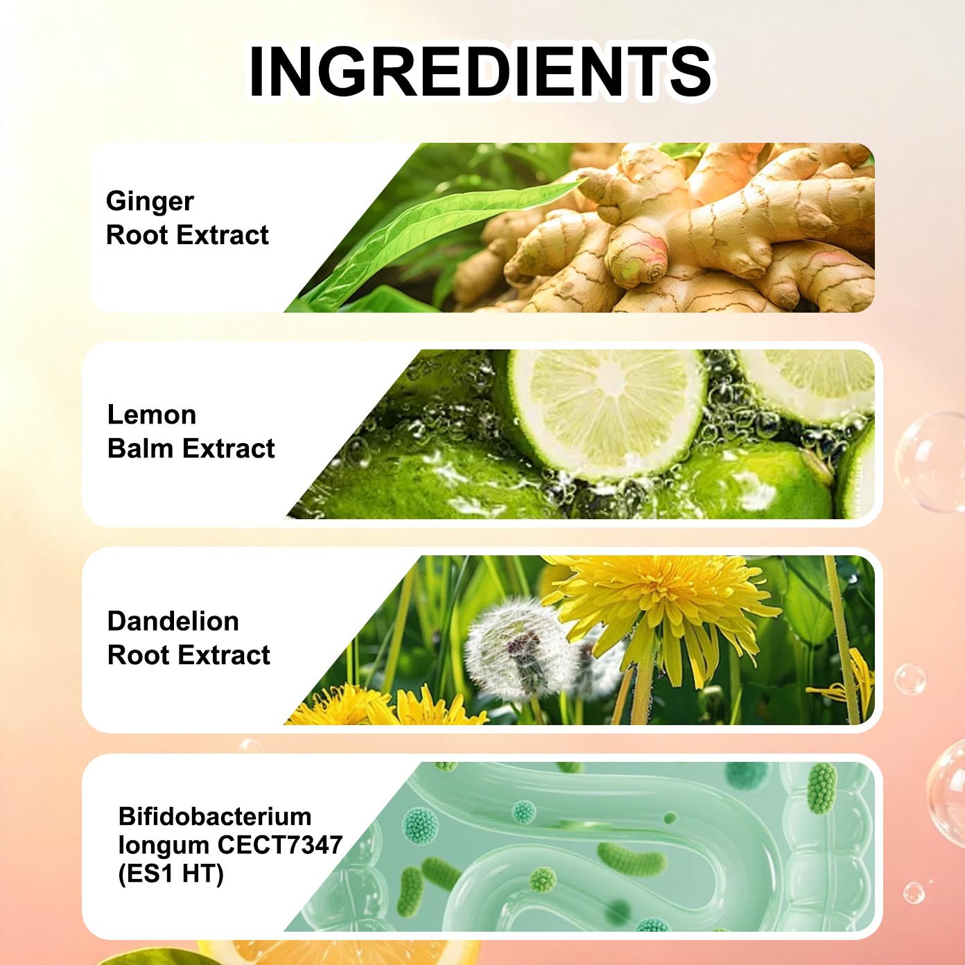 Gummies complément digestion — 60 pastilles 2