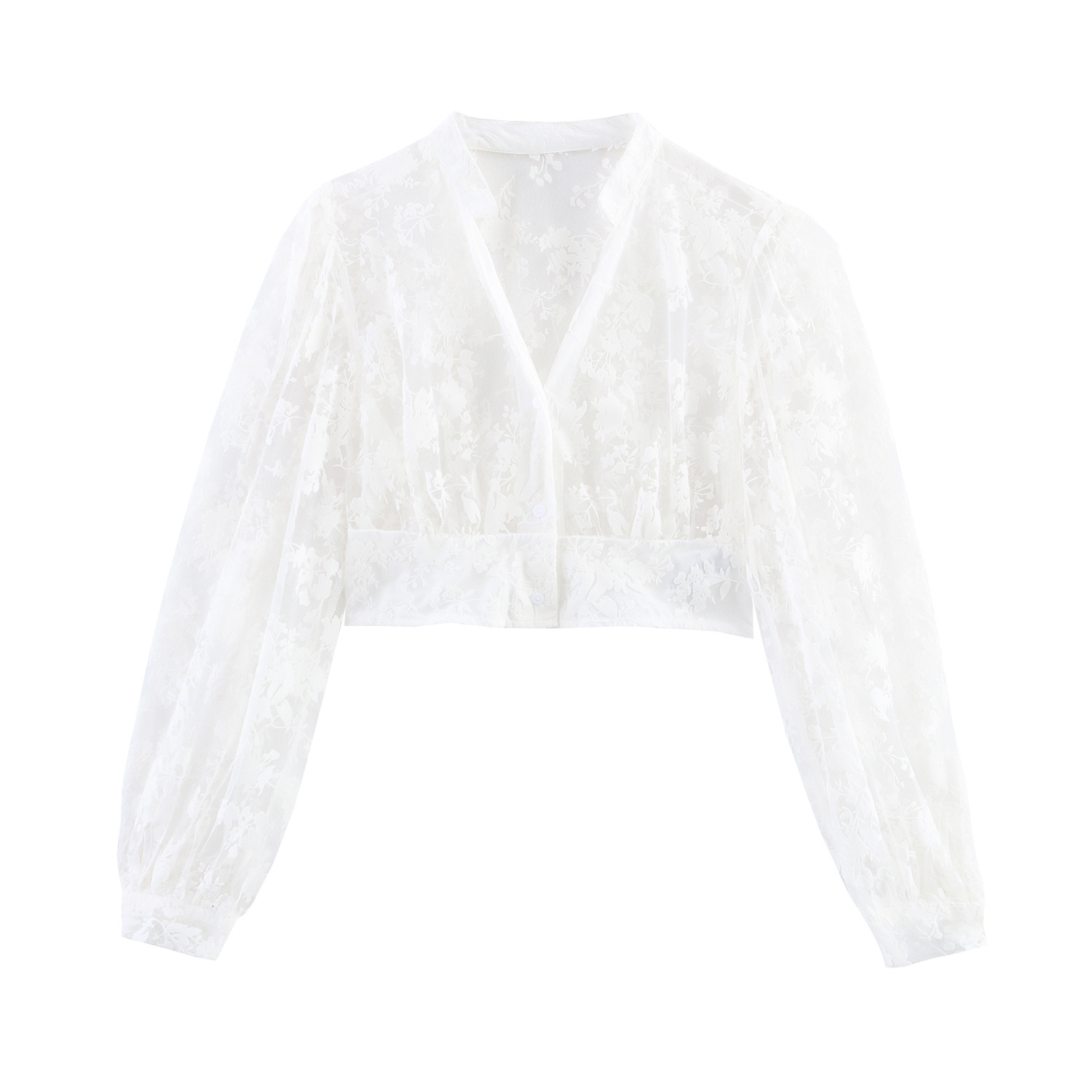 Sheer Mesh Flocking Short Long Sleeve Shirt Picture Color - Shop at LoveMi