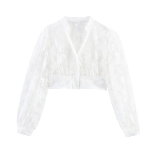 Sheer Mesh Flocking Short Long Sleeve Shirt - Shop at LoveMi