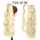 F24613