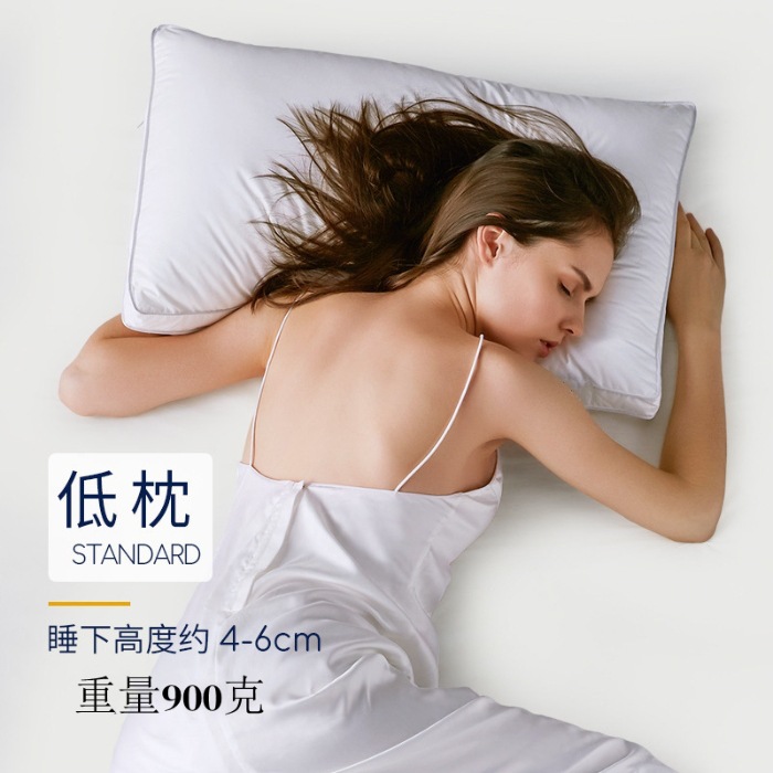 Li Low Loft Pillow 900G