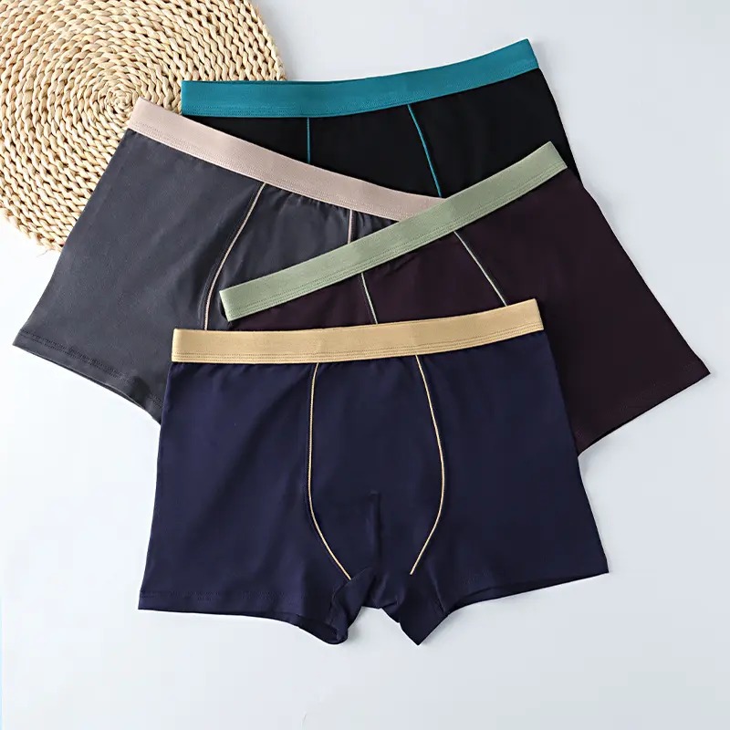 Men's Underwear Boxer Briefs Plus Size Extra