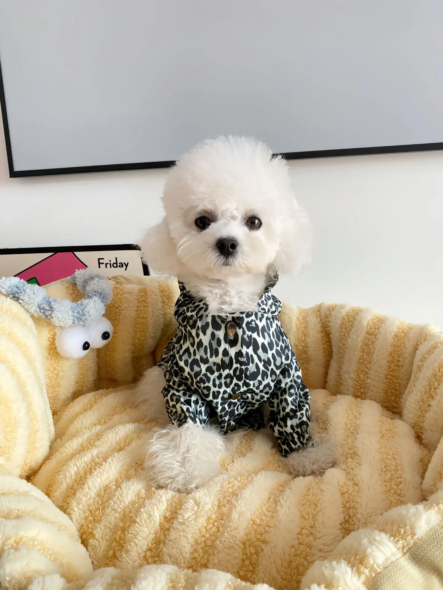 Pet Dog Coat Leopard Print Trench Coat