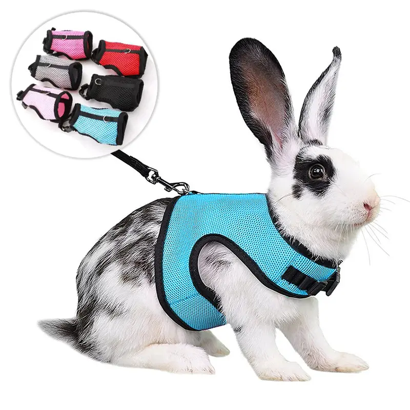 Guinea Pig Rabbit Rope Minipet Traction Vest