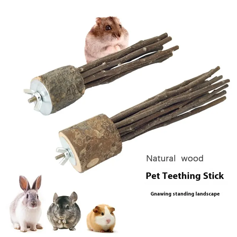 Hamster Rabbit Guinea Pig Natural Log Molar