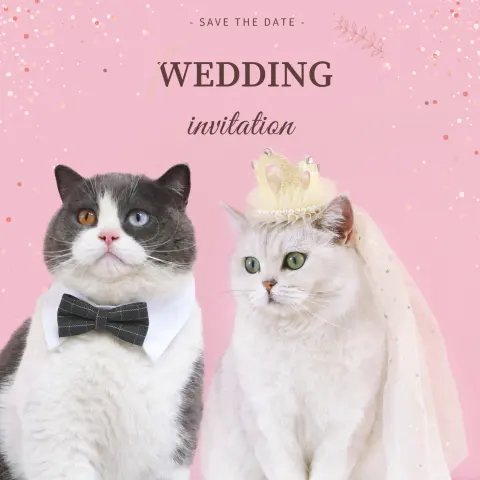 Pet Wedding Princess Crown Headdress Cat