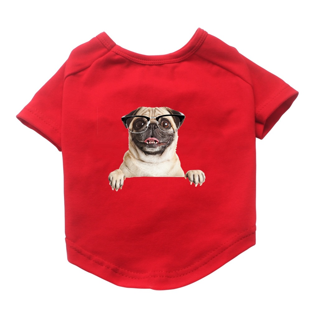 Red Pug