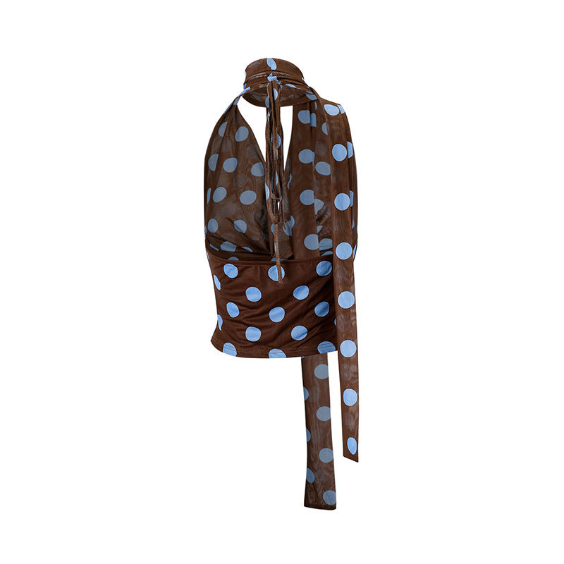 New European And American-style Color-block Polka-dot Asymmetrical Mesh Top