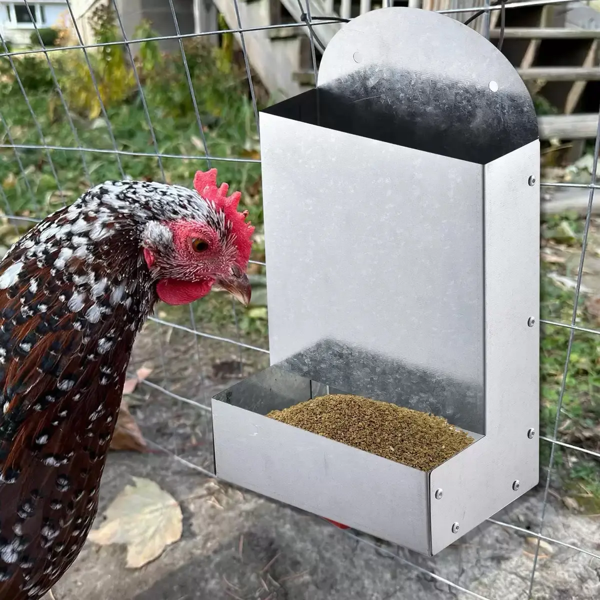 Poultry Feeding Metal Trough Chicken Parrot Bird