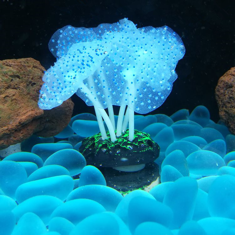 Transparent Blue Dot Anemone