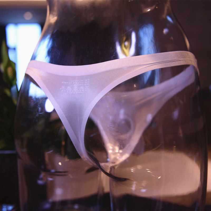 Mens Underwear Sexy Seductive And Sheer