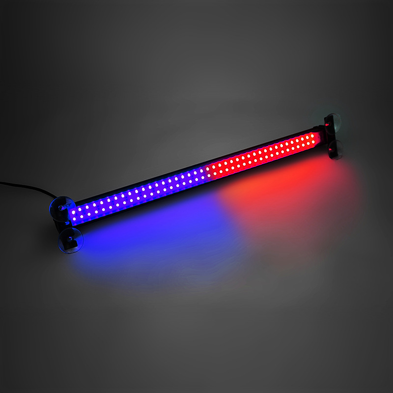 Red And Blue Light Combination