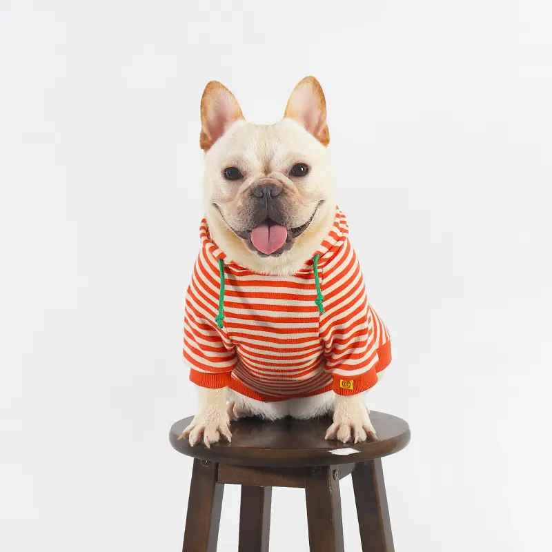 Dog Pet Clothing Jarre Aero Bull Pug