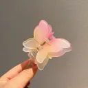 Frosted Gradient Peach Pink