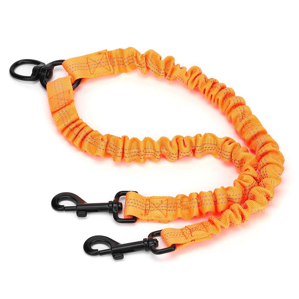 Laisse pour chien