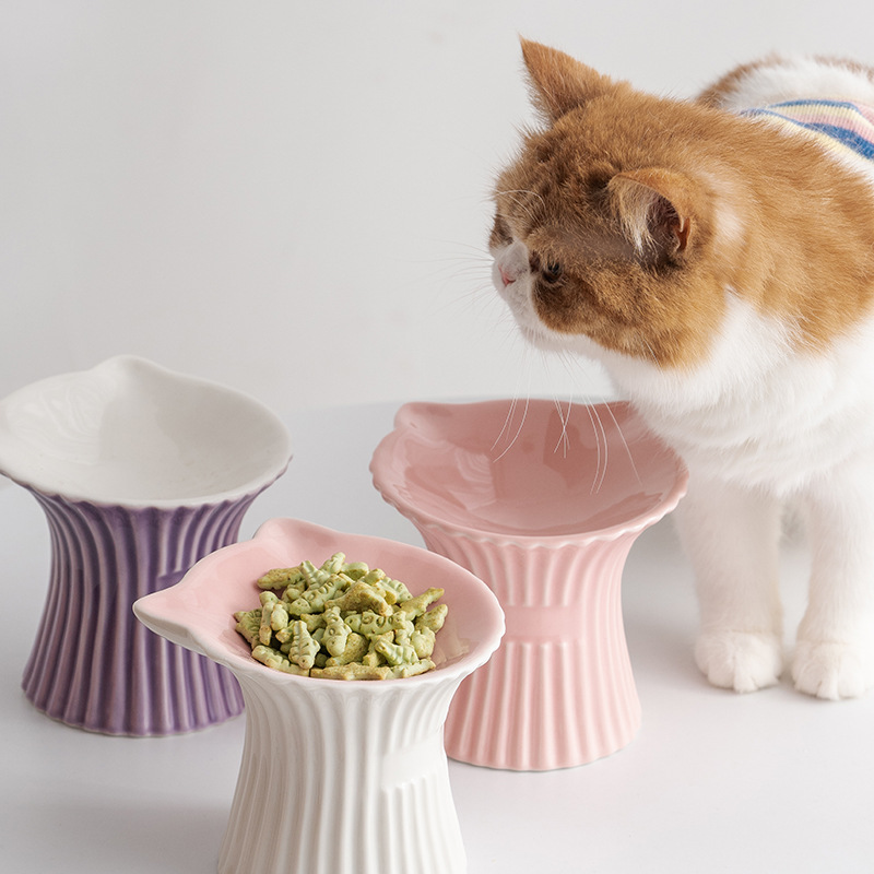 Household Stylish Cat Pet Bowl