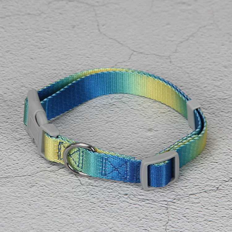 Single Collar Yellow And Blue