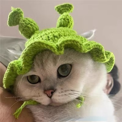 Green Ruffled Hat