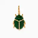 Beetle