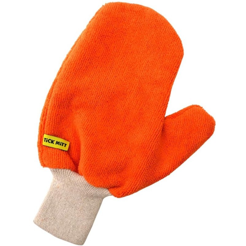 https://cf.cjdropshipping.com/quick/product/52b3a311-de03-4ec5-877a-bc02d3c52803.jpg