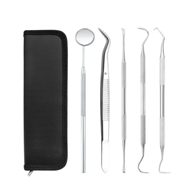 Dentist Dental Tools Household Care Teeth Cleaning Blade Teeth Pick Teeth Removal Dental Stones Cleaning Teeth Teeth Cleaner Dentist 5Piece Set - Shop at LoveMi