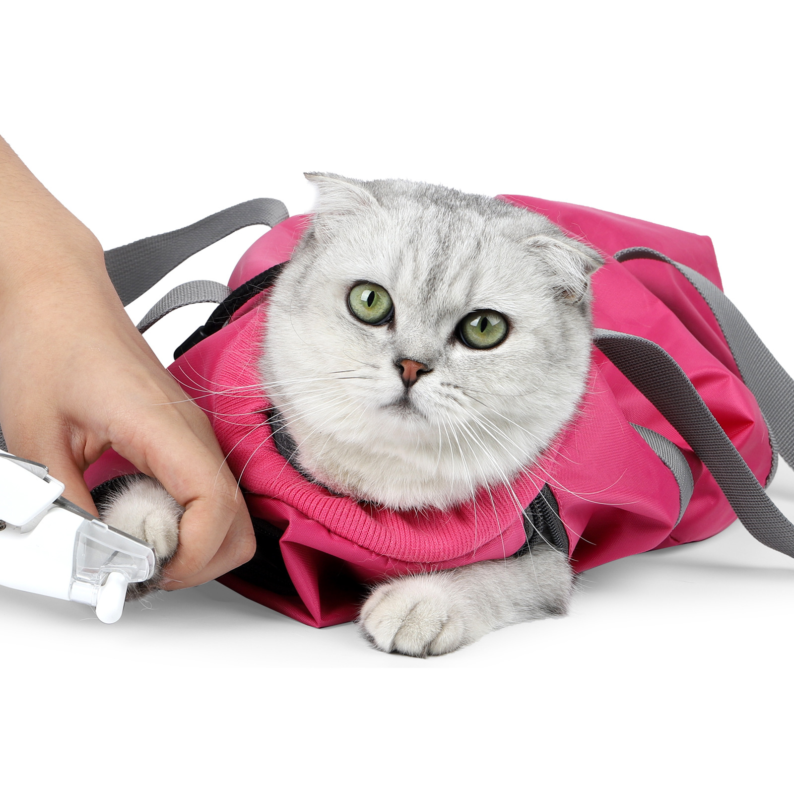 Title 9, Cat Travel Bag Double Lined Anti Scratch And Bi...