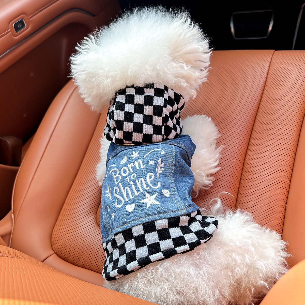 Dog And Cat Clothes Stylish Denim Outfits For Pets detail photo 19